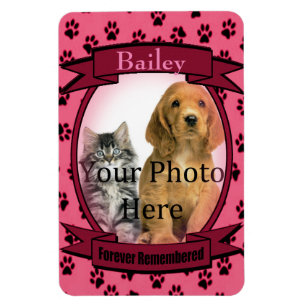 Íman Memorial de Pinças Imprime para Gato ou Cão