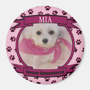 Íman Memorial do Cachorro ou do Gato Keepsael