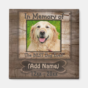 Íman Memorial do Cão