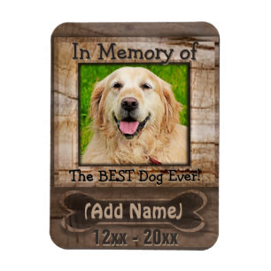 Íman Memorial do Cão