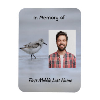 Íman  Memorial Keepsake Sandpiper Shore Bird 