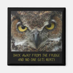Íman Menacing Owl Photo - PERFECT DIET MAGNET!