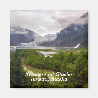 Íman Mendenhall Glacier Juneau Alaska Magnet