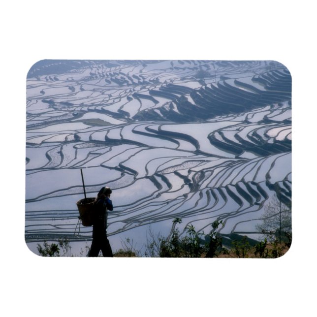 Íman Menina Hani carregando cesto com terraço de arroz, (Horizontal)
