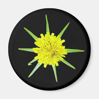 Íman Menos ímã da flor selvagem da Cabra-barba