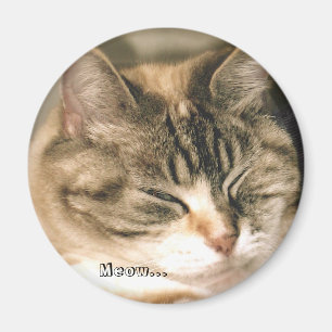 Íman Meow…