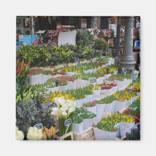 Íman Mercado da tulipa de Amsterdão