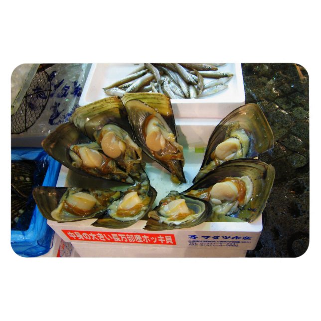 Íman Mercado de Peixes de Tsukiji, Giant Muselles, Tóqu (Horizontal)