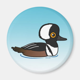 Íman Merganser Hooded