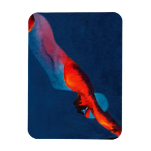 Íman Mergulhador 2011