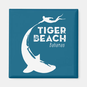 Íman Mergulho com Tubarões na Tiger Beach