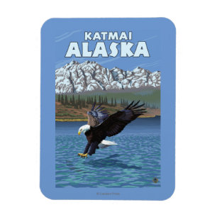 Íman Mergulho da águia americana - Katmai, Alaska