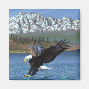 Íman Mergulho da águia americana - parque nacional de