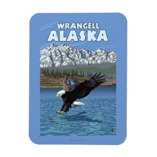 Íman Mergulho da águia americana - Wrangell, Alaska