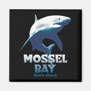 Íman Mergulho Scuba no Excelente de Mossel Bay White Sh