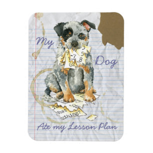 Íman Meu ACD Comeu Meu Plano de Lição