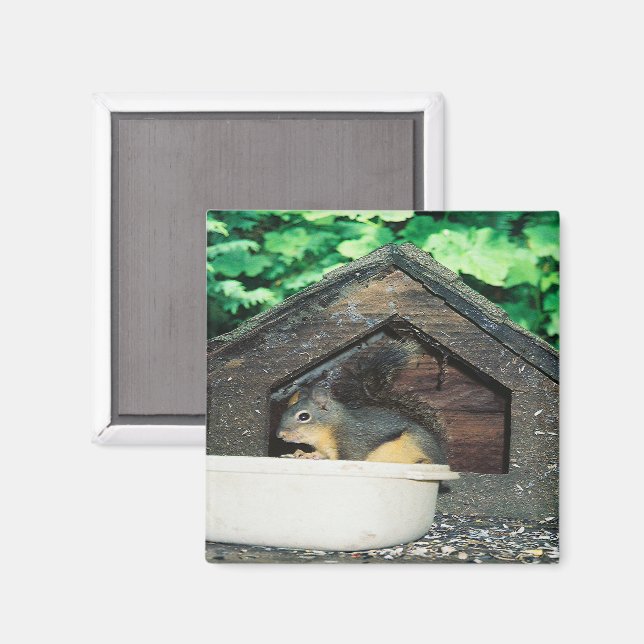 Íman Meu amigo... (Front/Back)