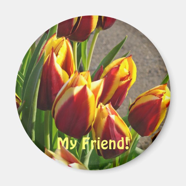 Íman Meu Amigo! ímã Vermelho Amarelo Tulipas Flores da  (Frente)