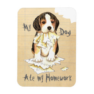 Íman Meu Beagle Comeu Meu Trabalho De Casa