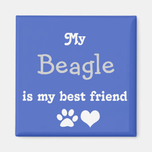 Íman Meu Beagle é meu melhor amigo