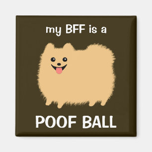 Íman Meu BFF é uma bola do Poof de Pomeranian - design