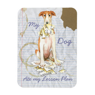 Íman Meu Borzoi comeu meu plano de aula