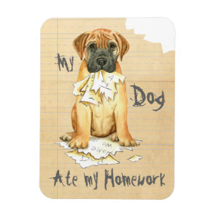 Íman Meu Bullmastiff Comeu Minha Homework