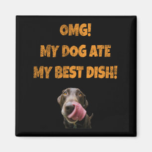 Íman Meu cachorro comeu meu melhor poço de água de aço