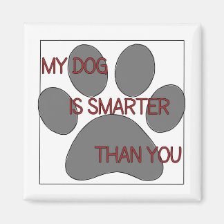 Íman Meu Cachorro é mais inteligente que você