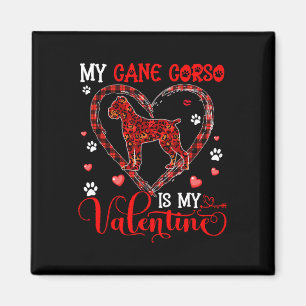 Íman Meu Cane Corso É Meu Leopardo Do Dia Dos Namorados
