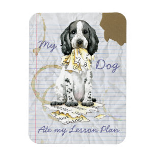 Íman Meu Cocker Inglês Comeu Meu Magnet De Lição