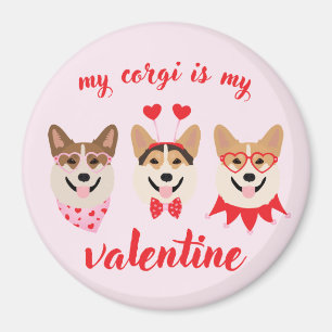Íman Meu Corgi É Meu Namorados