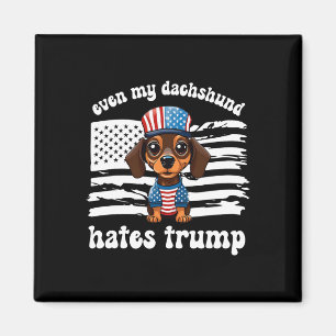 Íman Meu Dachshund Odeia Trump Dogs Kamala Harris Vote