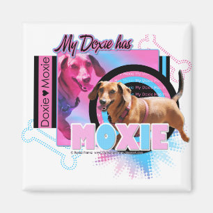 Íman Meu Doxie tem o Moxie
