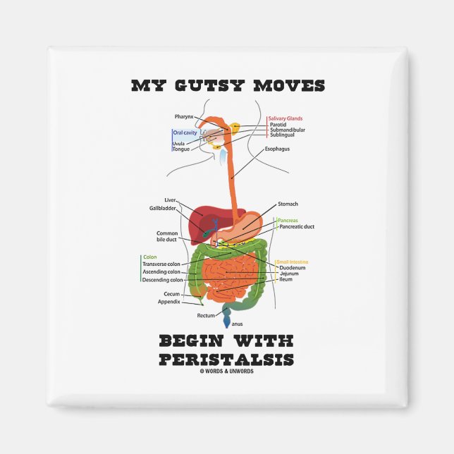 Íman Meu Espetáculo Começa Com Peristalsis (Digestivo) (Frente)