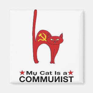 Íman Meu Gato é um excelente COMUNISTA ideias polític