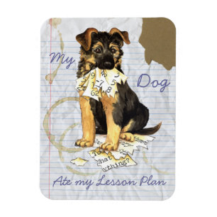 Íman Meu German shepherd Comeu Meu Plano De Lição