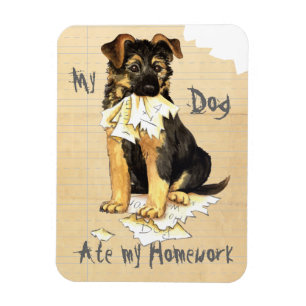 Íman Meu GSD Comeu Meu Trabalho De Casa