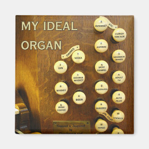 Íman Meu ímã ideal do órgão