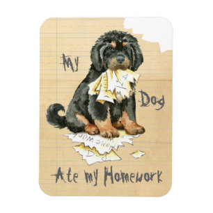 Íman Meu Mastiff Tibetano Comeu Minha Homework