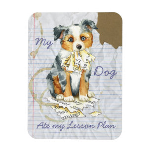 Íman Meu Mini Pastor Americano Comeu Meu Plano De Liç