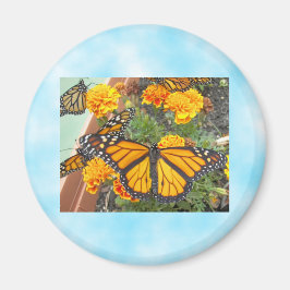 Íman Meu Monarch Butterflies-magnet