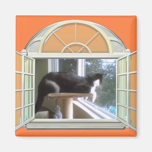 Íman Meu Mundo (Frente)