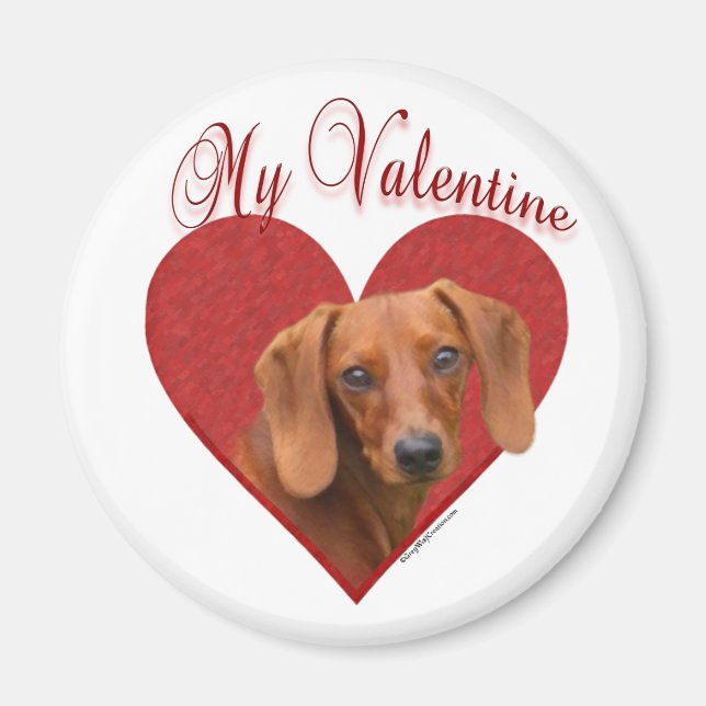 Íman Meu Namorados Dachshund (Frente)