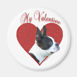 Íman Meu Namorados de Boston Terrier