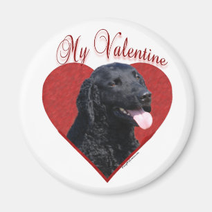 Íman Meu Namorados de Retriever Revestido Curly