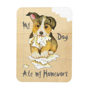 Íman Meu Pembroke Welsh Corgi Comeu Meu Trabalho De Cas