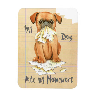 Íman Meu Pequeno Brabancon Comeu Meu Trabalho De Casa