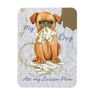 Íman Meu Petit Brabancon Comeu Meu Plano de Lição