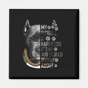 Íman Meu Pitbull é inofensivo. Sou eu que você deveria